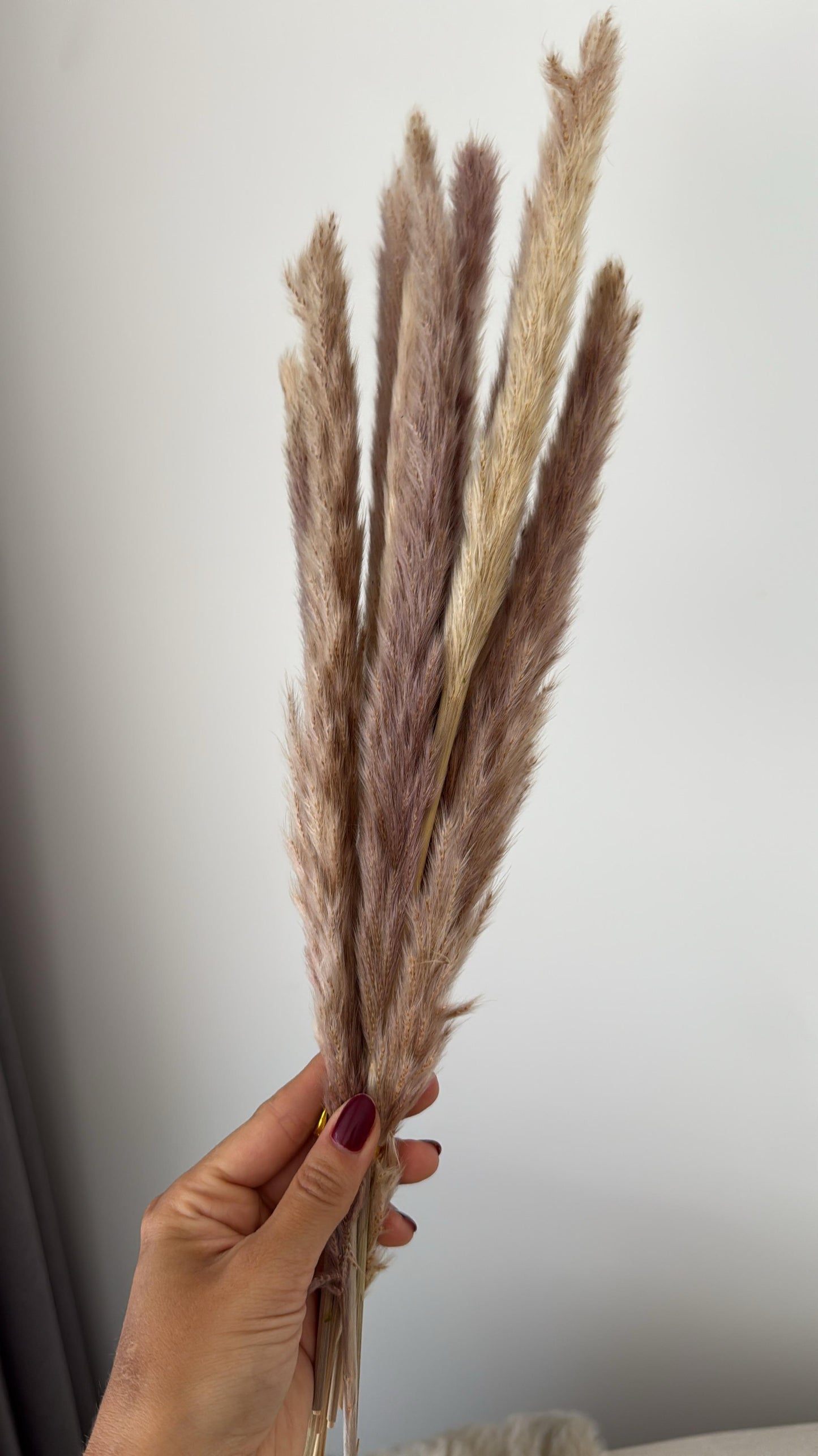PLUMAS DECORATIVAS