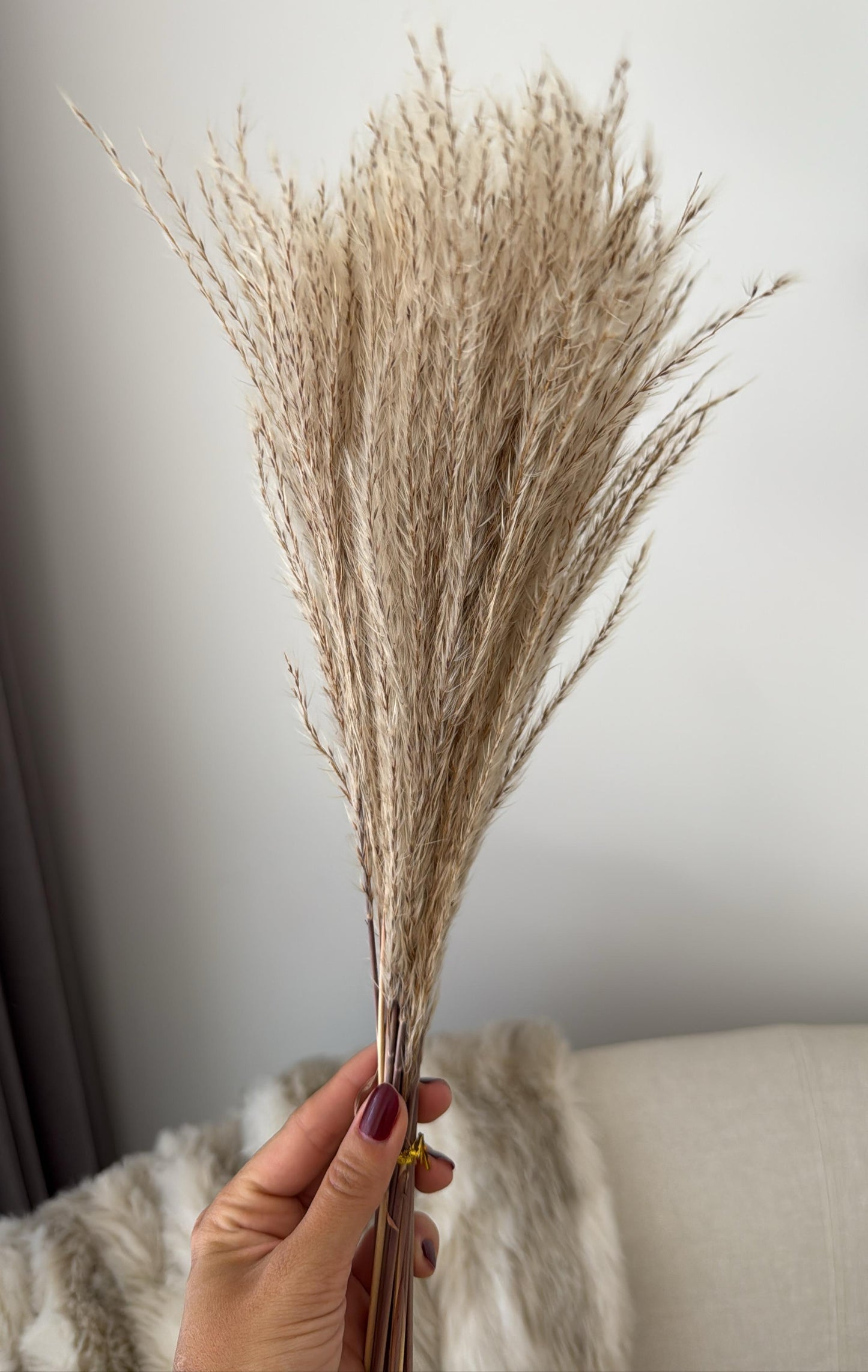 PLUMAS DECORATIVAS