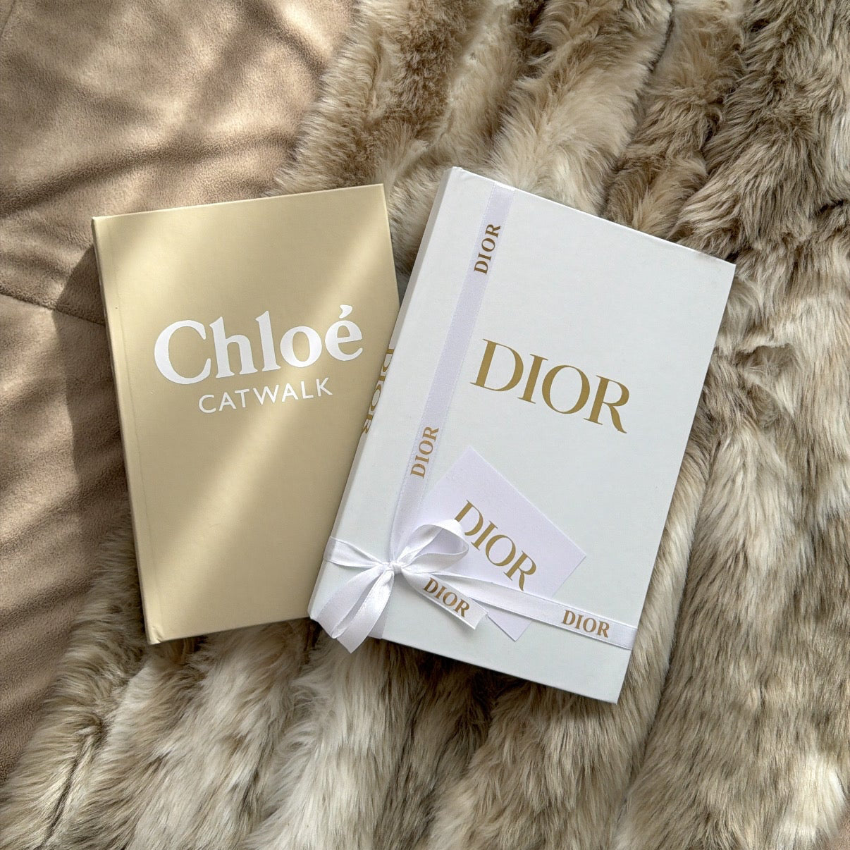 Libro Dior Luxury