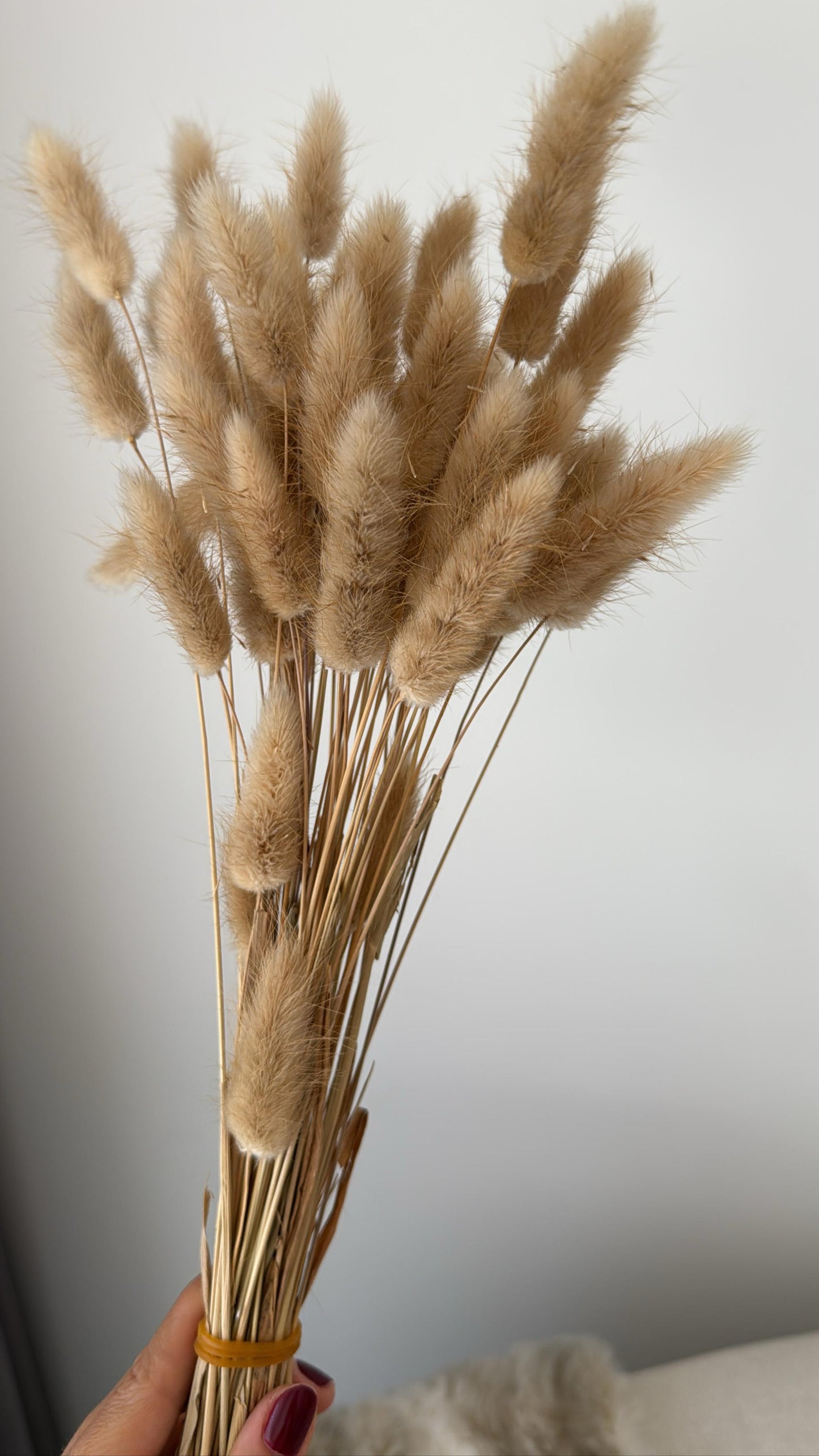 PLUMAS DECORATIVAS