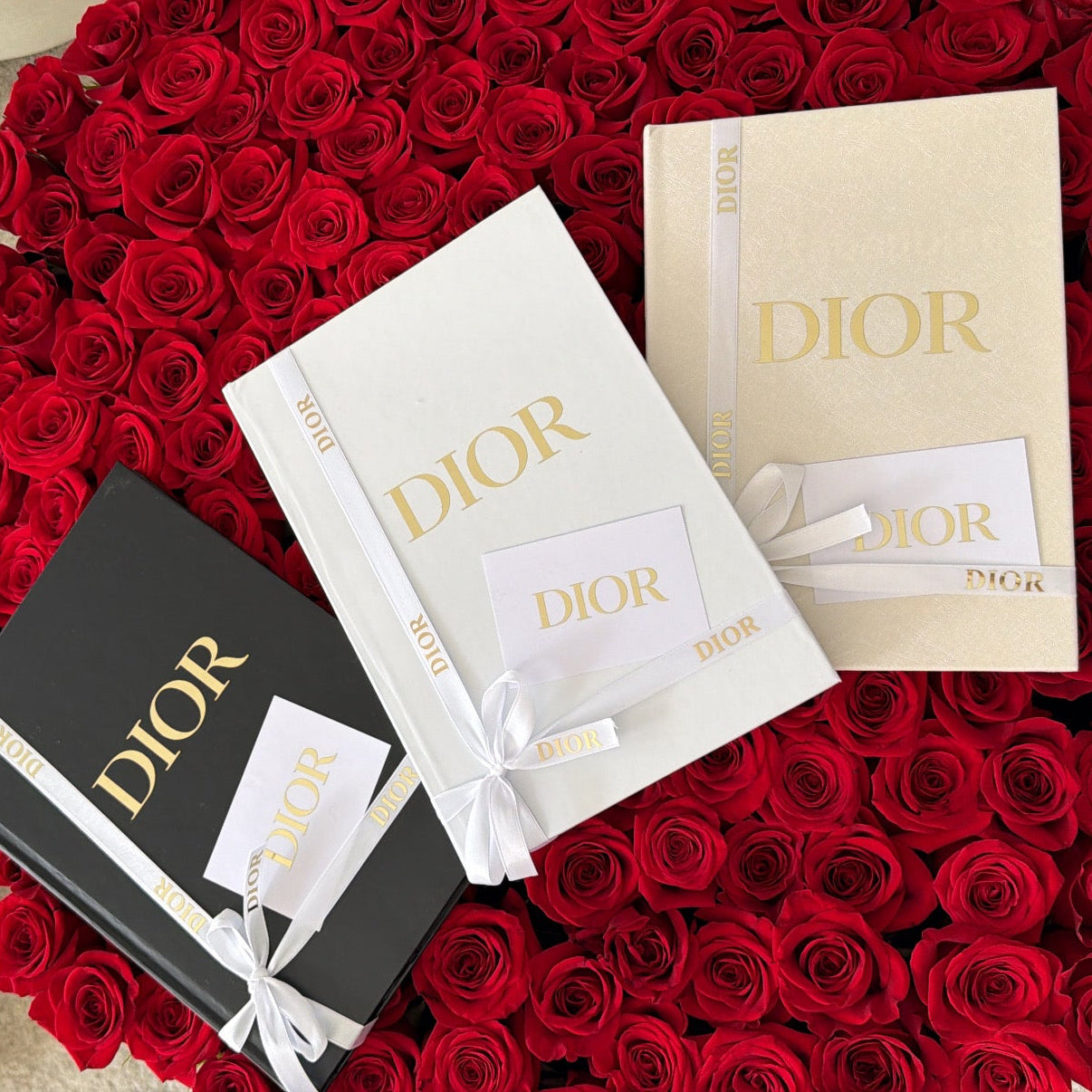 Libro Dior Luxury