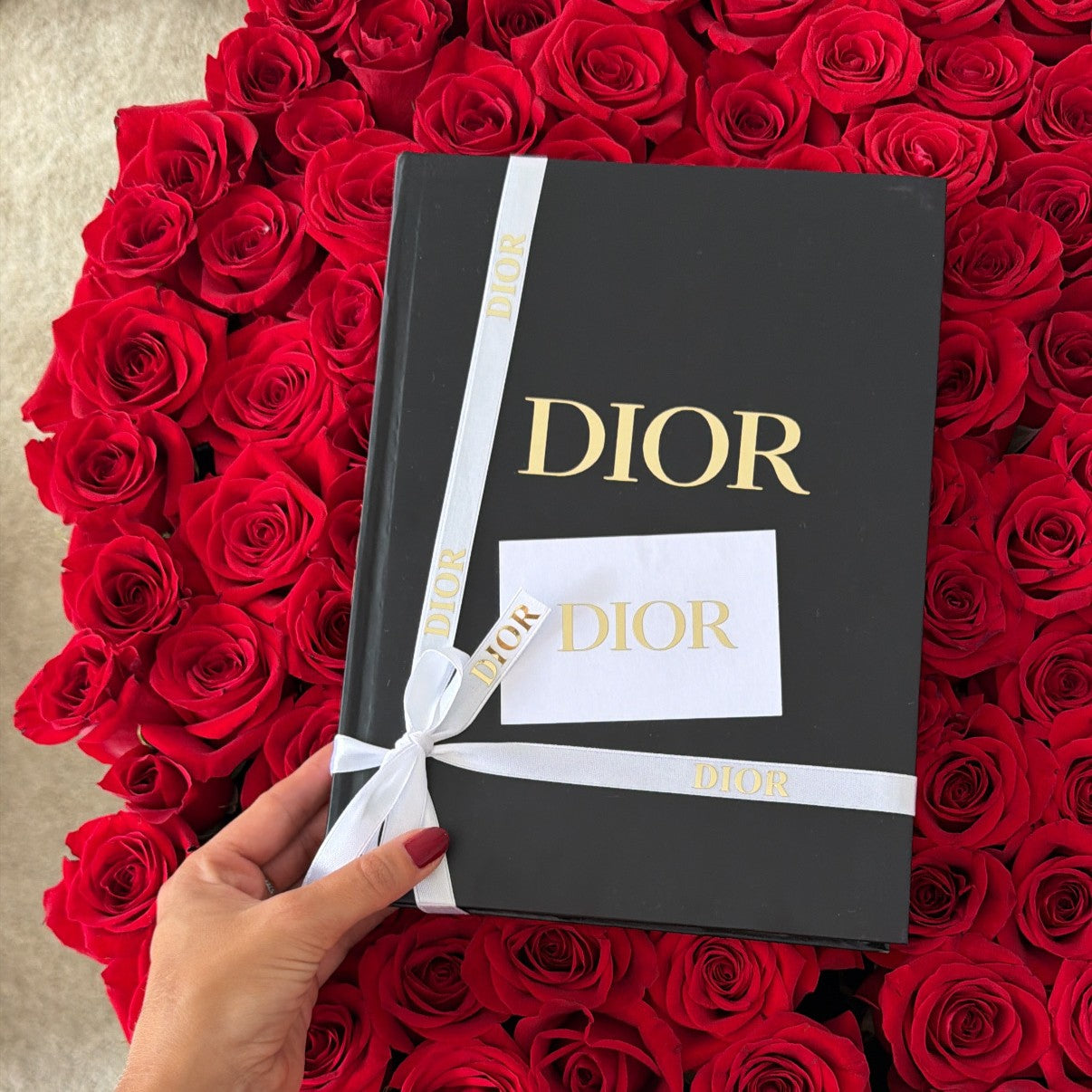 Libro Dior Luxury