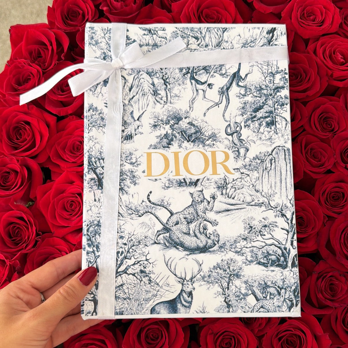 Libro Dior Luxury