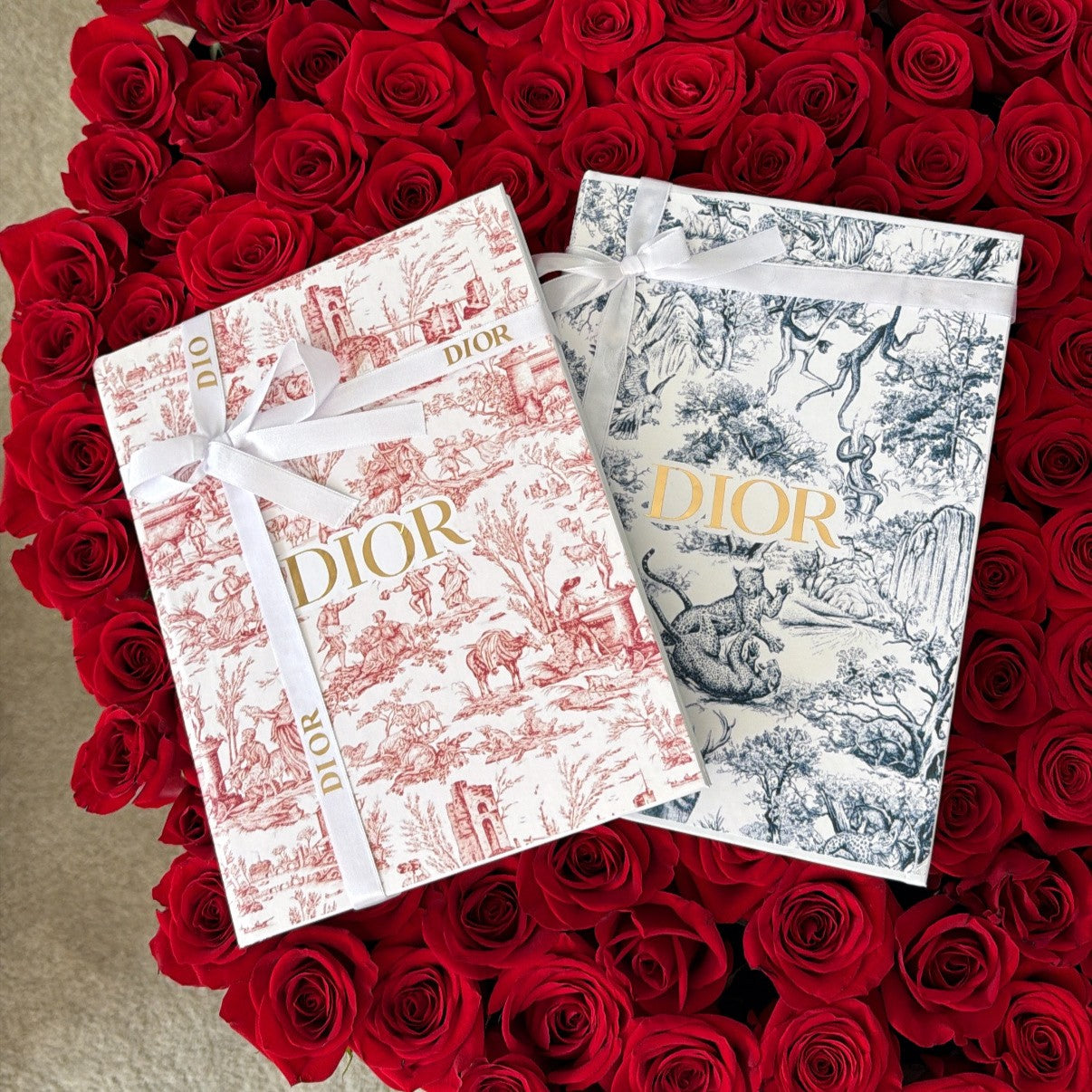 Libro Dior Luxury