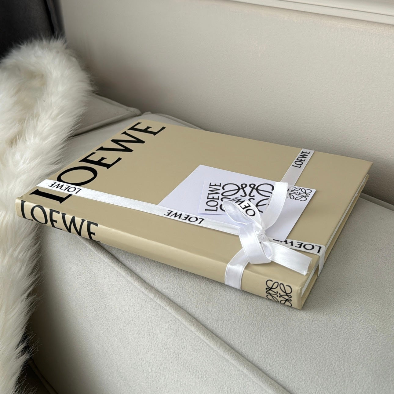 LIBRO LOEWE